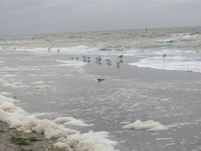 Holiday house Dünenhof 3 - Environment photo 39