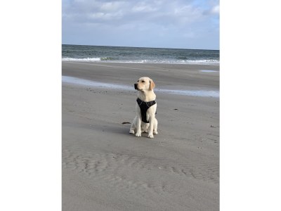 Holiday house Dünenhof 3 - Environment photo 40