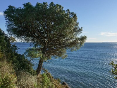 Villa Valou - Environment photo 38