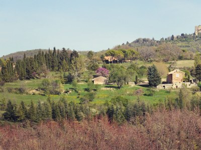 Holiday apartment with charm and views of the Vaucluse mountains - 307 APT - Environment photo 16