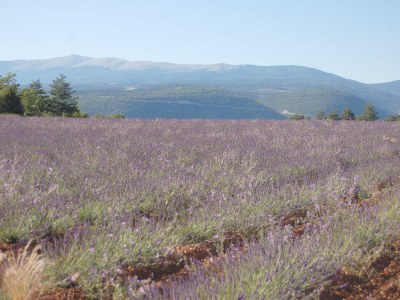 Holiday house with lots of space and comfort - 810 VIL - Environment photo 24