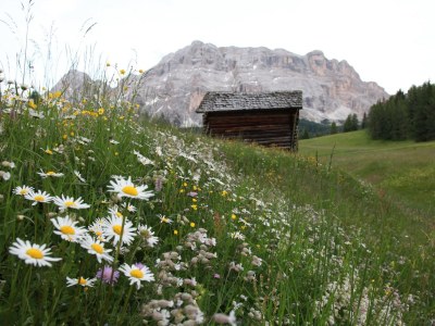 Holiday apartment Margherita - Environment photo 25
