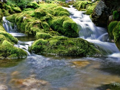 Holiday apartment Margherita - Environment photo 29