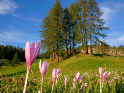 Holiday apartment Margherita - Environment photo 30