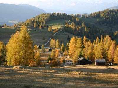 Holiday apartment Margherita - Environment photo 31