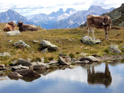 Holiday apartment Margherita - Environment photo 35