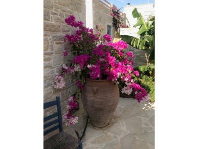 Villa Thalassa - Outdoor photo 9