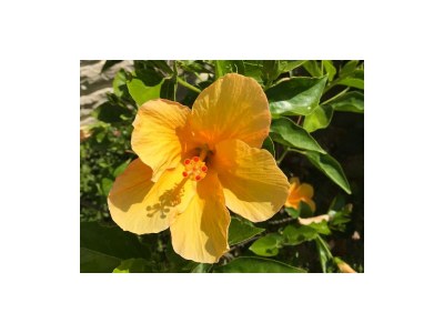 Villa Thalassa - Outdoor photo 12