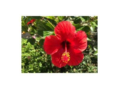 Villa Thalassa - Outdoor photo 13