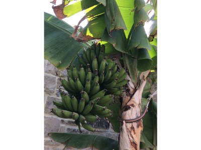 Villa Thalassa - Outdoor photo 14