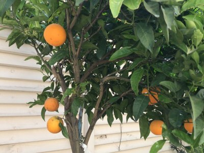 Villa Thalassa - Outdoor photo 15