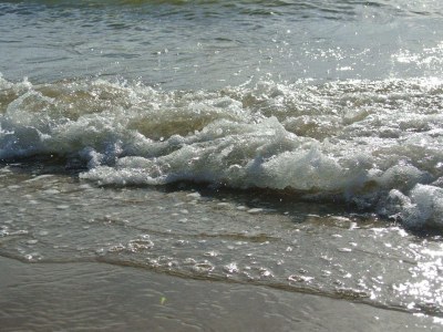 Holiday apartment Seehuys 1 - Environment photo 16