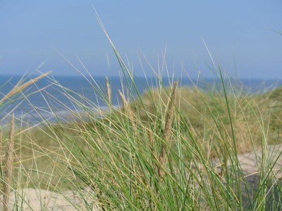 Holiday apartment Seehuys 1 - Environment photo 17