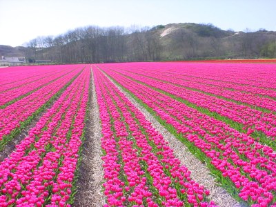 Holiday apartment Seehuys 1 - Environment photo 19