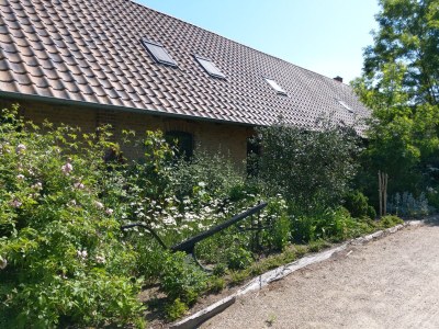 Holiday apartment Thea new - Outdoor photo 2