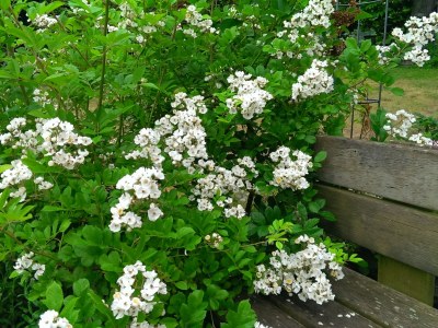 Holiday apartment Thea new - Outdoor photo 4