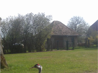 Holiday apartment Thea new - Environment photo 18