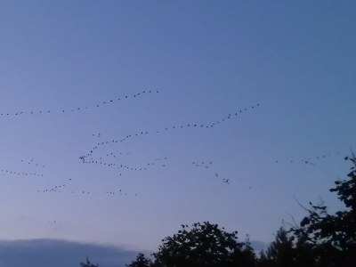 Holiday apartment Thea new - Environment photo 19