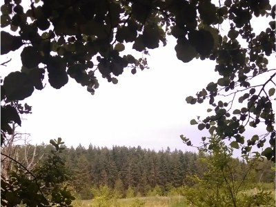 Holiday apartment Thea new - Environment photo 20