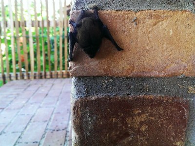 Holiday apartment Thea new - Environment photo 22