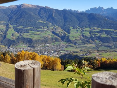 Holiday apartment Masitterhof - Outdoor photo 3