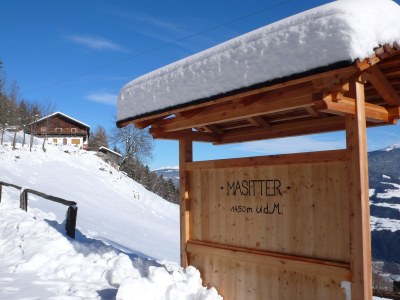 Holiday apartment Masitterhof - Outdoor photo 9