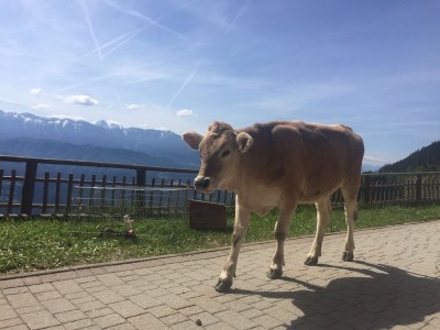 Holiday apartment Masitterhof - Environment photo 31