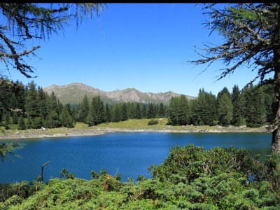 Holiday apartment Masitterhof - Environment photo 34