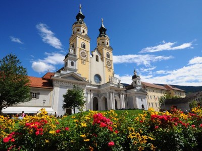 Holiday apartment Masitterhof - Environment photo 35