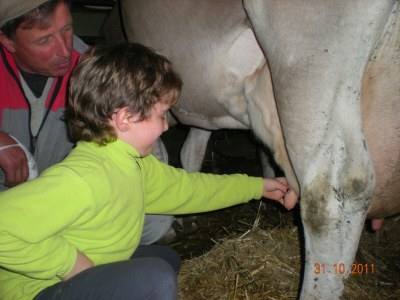 Holiday apartment Masitterhof - Environment photo 38