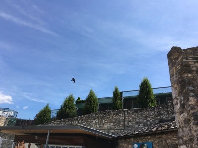 Holiday apartment Mahn Appartementhaus NOREA - Environment photo 31