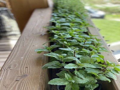 Chalet Chalet in Wagrain nahe Skilift - Outdoor photo 21