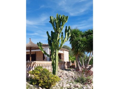 Finca Finca Estrella - Environment photo 32