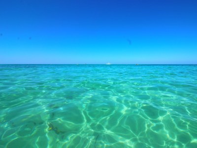 Finca Finca Estrella - Environment photo 39