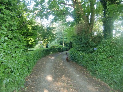 Holiday apartment Reitmeyer - Outdoor photo 3