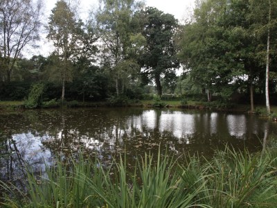 Holiday apartment Reitmeyer - Outdoor photo 8