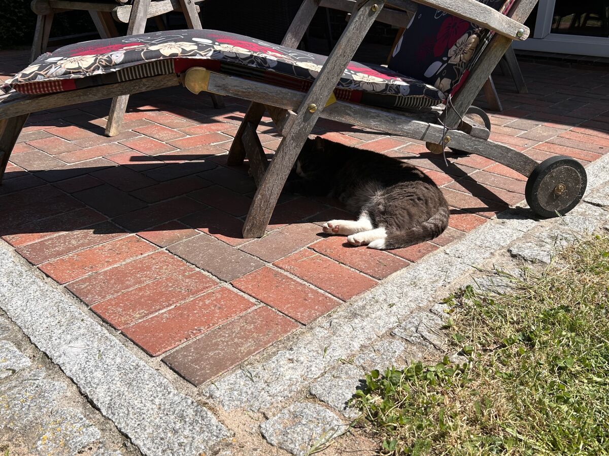 Holiday house Haus am See - Outdoor photo 5