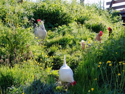 Holiday apartment Col - Environment photo 17