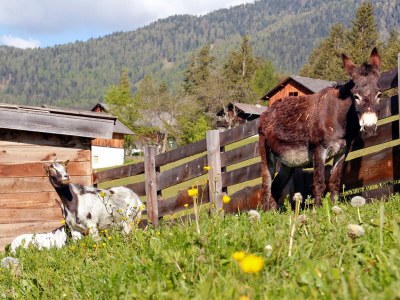 Holiday apartment Col - Environment photo 20