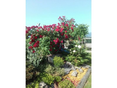 Holiday house Rumpf - Outdoor photo 15