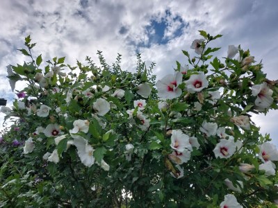 Holiday house Rumpf - Outdoor photo 25