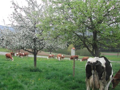 Holiday house Rumpf - Environment photo 33