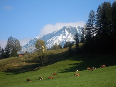 Holiday apartment Längauer Alm - Haus Daniel - Environment photo 18