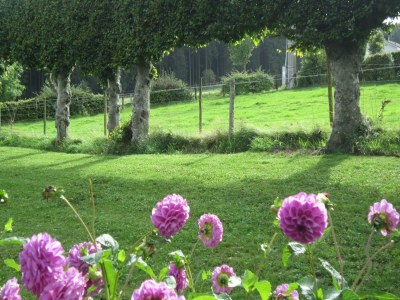 Holiday house Ferienhaus in Kuchelscheid mit Terrasse - Outdoor photo 10