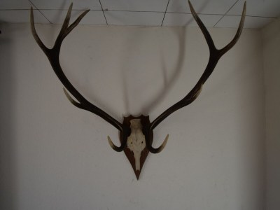 Holiday house Ferienhaus in Kuchelscheid mit Terrasse - Outdoor photo 39