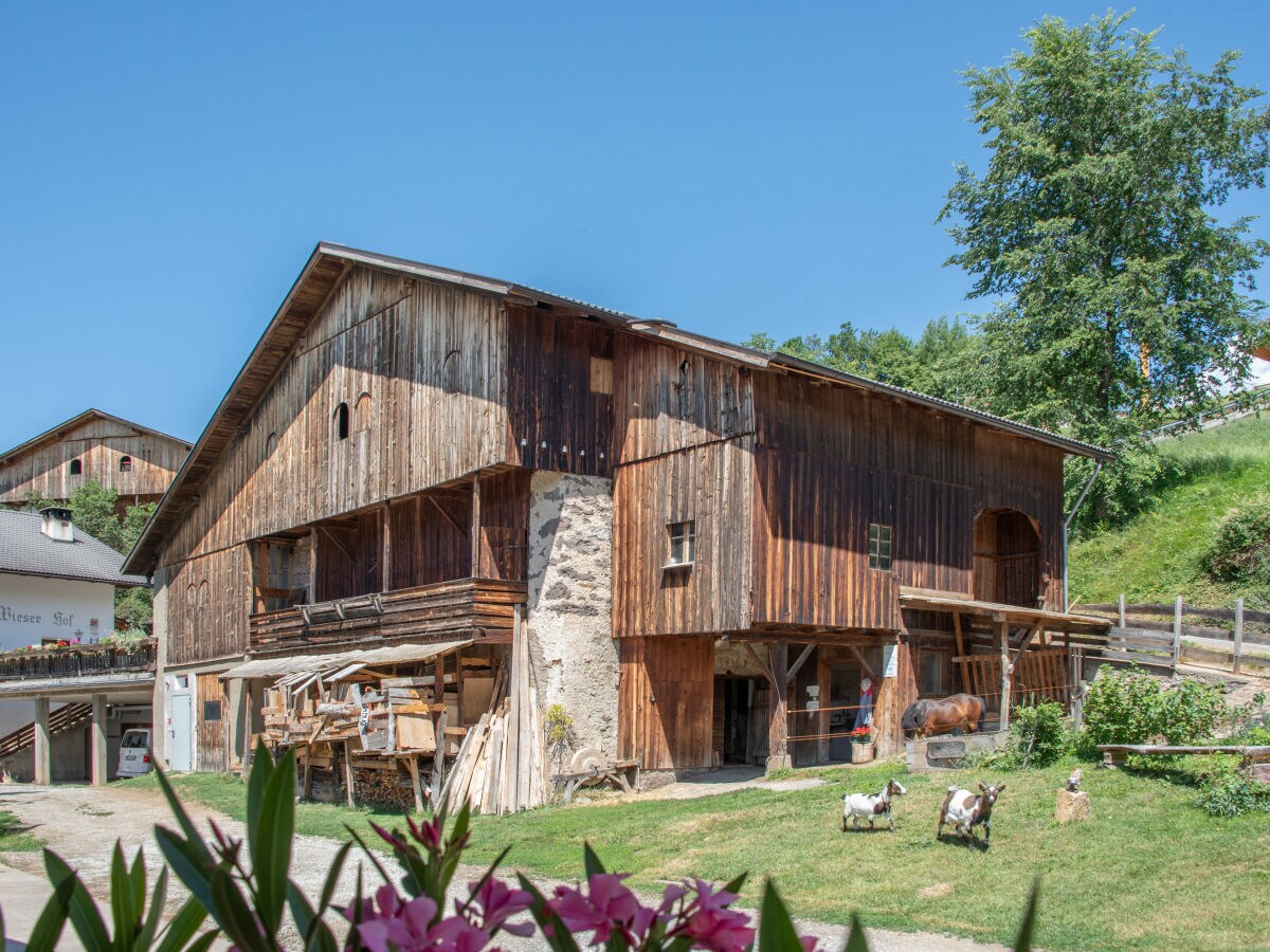 Farmhouse Wieserhof - Urlaub am Bauernhof - Outdoor photo 4