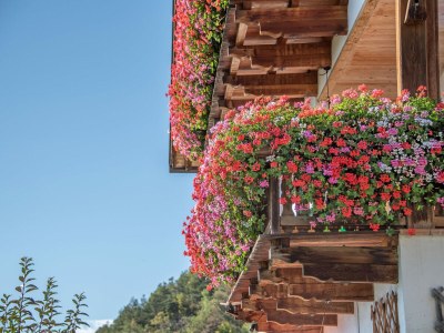 Farmhouse Wieserhof - Urlaub am Bauernhof - Outdoor photo 6