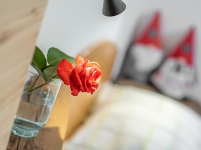 Farmhouse Wieserhof - Urlaub am Bauernhof - Features photo 24