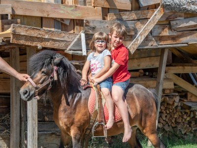 Farmhouse Wieserhof - Urlaub am Bauernhof - Environment photo 25