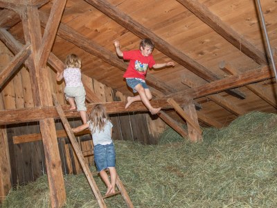 Farmhouse Wieserhof - Urlaub am Bauernhof - Environment photo 27